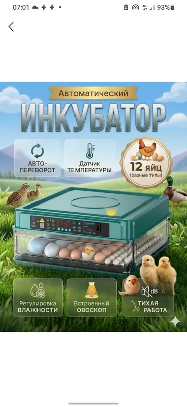 inkubator