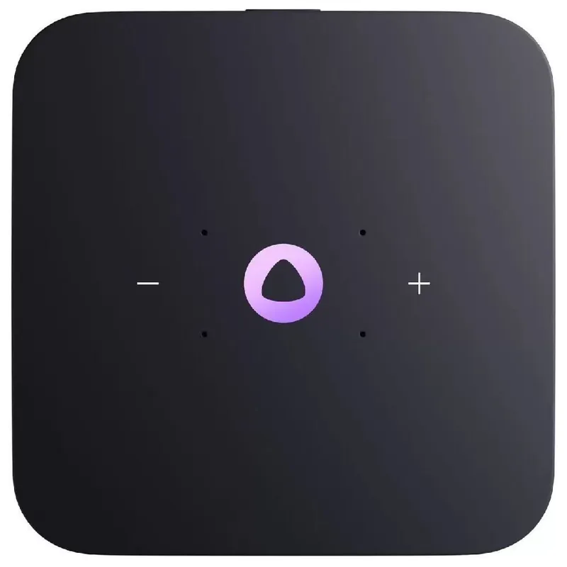 Умная колонка Яндекс Станция MIDI Zigbee с Алисой 4