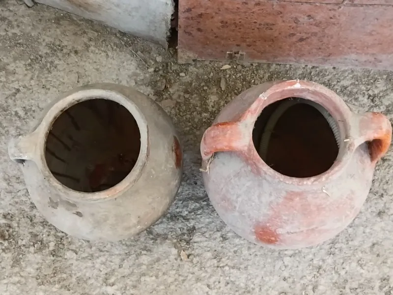 Kuza bor savetski 2 Kuza bor savetski 2