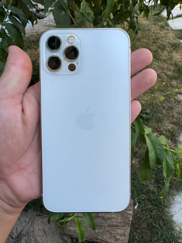Pro 7