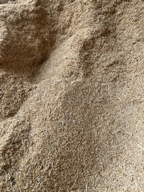 Sholi pocho qoplangan