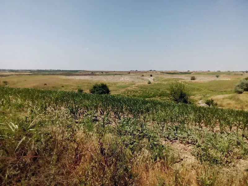 Chorva uchu yoki dacha qilish uchun yer sotiladi — фото 1
