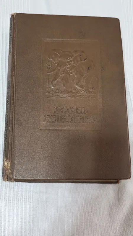 Книга Энциклопедия 1 Книга Энциклопедия 1