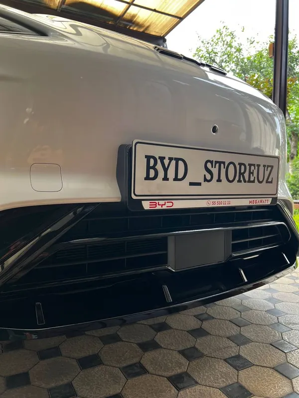 Черные наклейки на губу переднего бампера для BYD Champion — фото 2