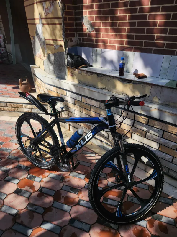 Velosiped Skorostnoy Saka diskalik