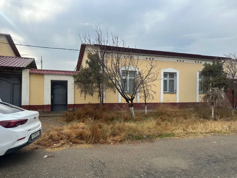Katej kotej катеж 2