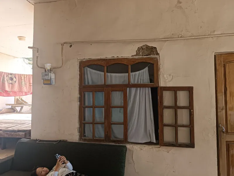 Дераза ромлари 4дона — фото 2