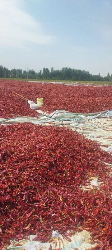 У нас есть красный сладкий перец 2 У нас есть красный сладкий перец 2