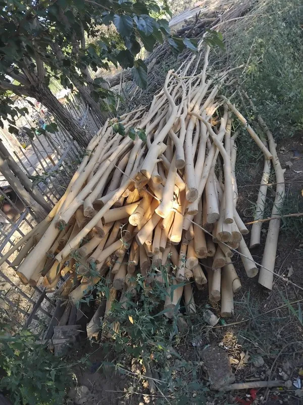 Qadalar bar qaratal qada jayga salatin kokterek bar aq tal qadalar bar 1 Qadalar bar qaratal qada jayga salatin kokterek bar aq tal qadalar bar 1