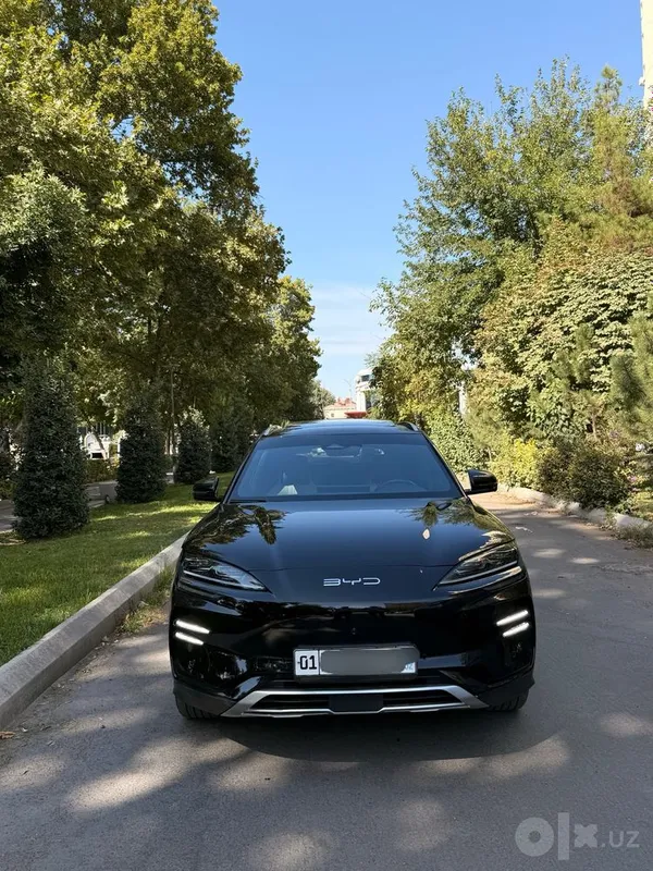 Byd chempion 605 tali full 2024 qora kraska tozza 1 Byd chempion 605 tali full 2024 qora kraska tozza 1