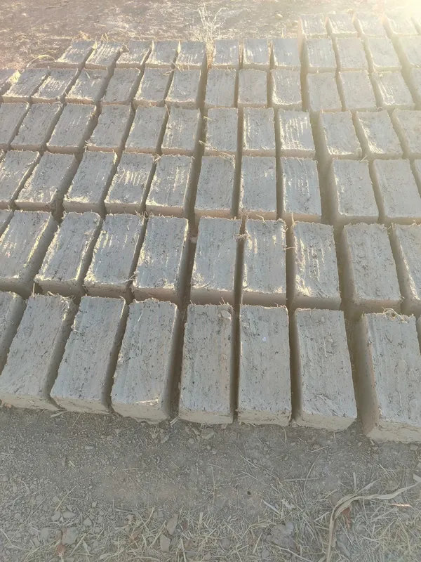 Loy blok sotiladi