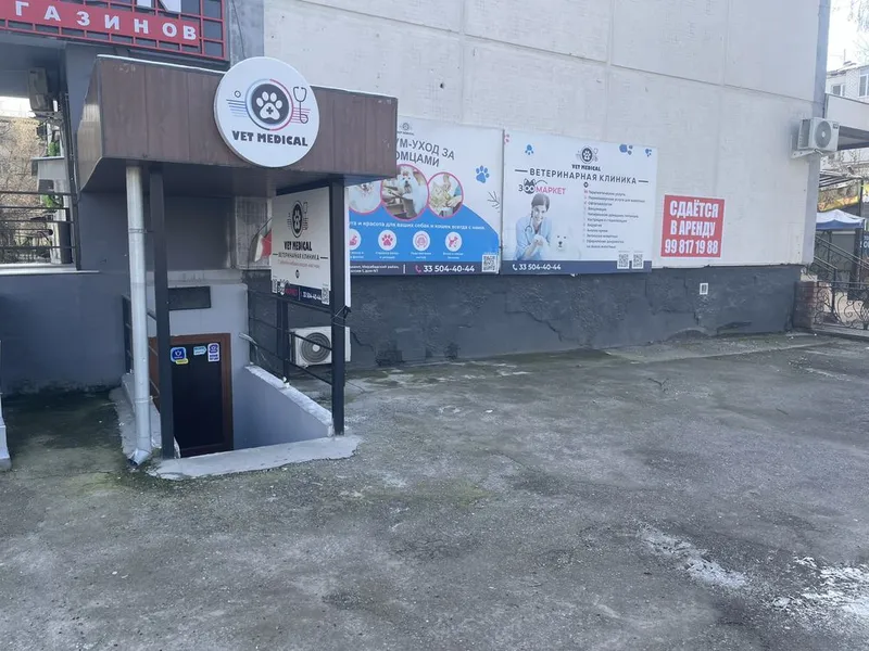 Сдаётся в аренду 3 ком 60 кв куйлук 1 масив канечка овтобуса 1 Сдаётся в аренду 3 ком 60 кв куйлук 1 масив канечка овтобуса 1