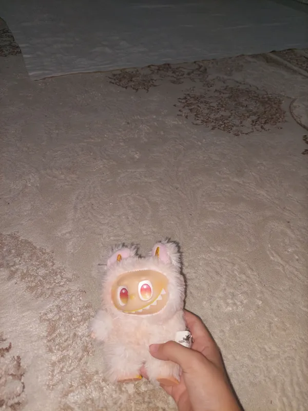 Labubu 1 Labubu 1