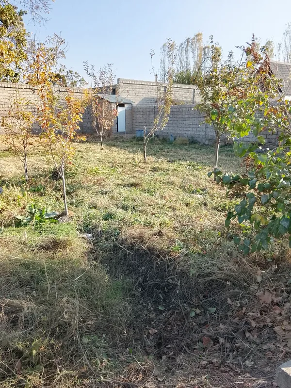 Продаю свою дачу в 25 км от рохата у речки хамдам 1 Продаю свою дачу в 25 км от рохата у речки хамдам 1