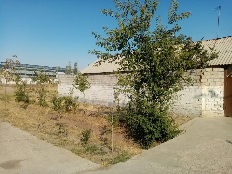 Hovli uy sotiladi 2 Hovli uy sotiladi 2