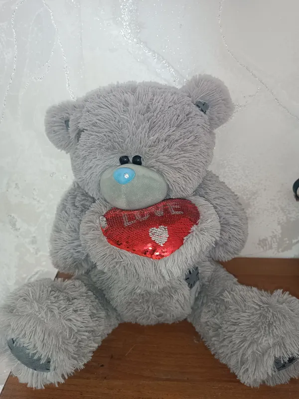 Teddy igrushka