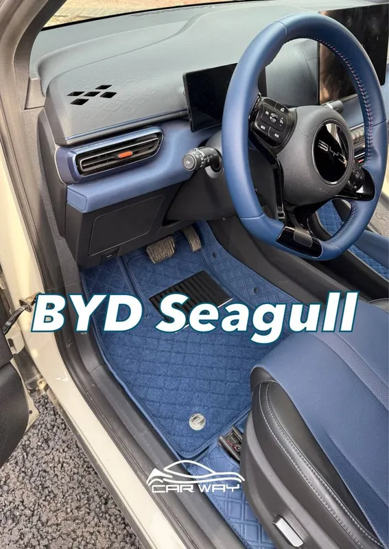 9D polik / коврики для BYD Seagull