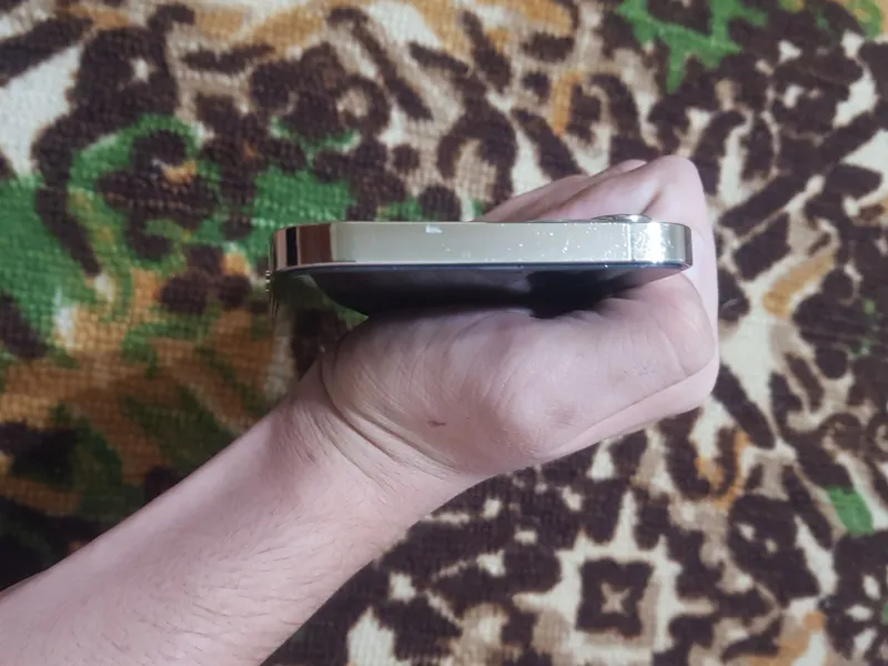 iPhone 12 pro LLA 4