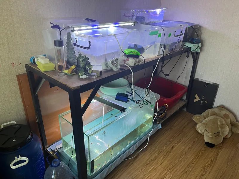 Akvarium uchun stellaj sotaman 1