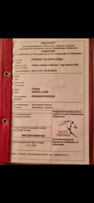 Ot sotiladi Продаётся лошадь — фото 3