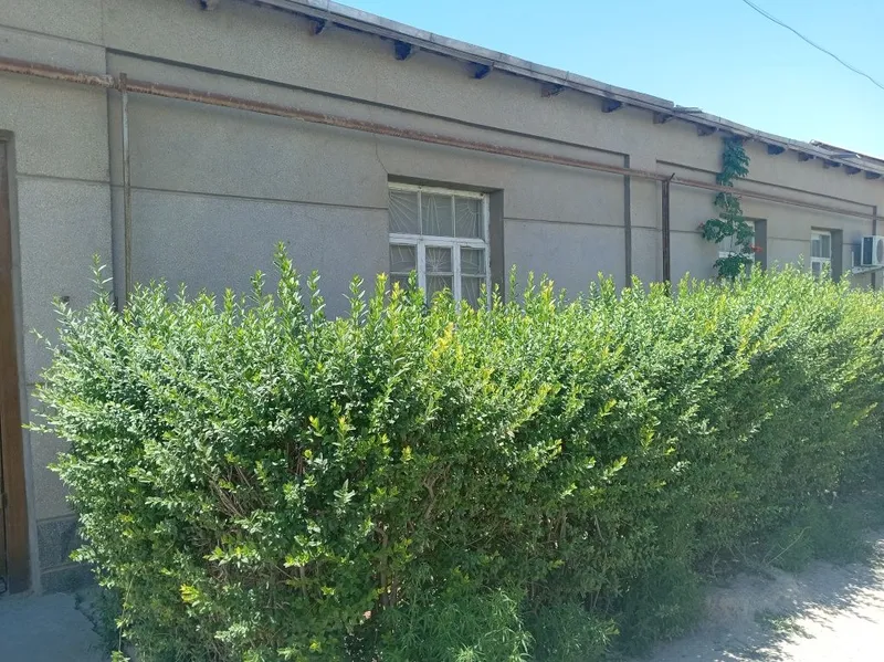 Продаётся дом с участком. — фото 1