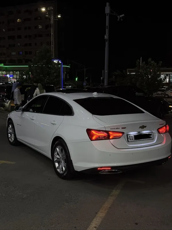 Malibu Perimir Kraskasi Tozza 3 Malibu Perimir Kraskasi Tozza 3