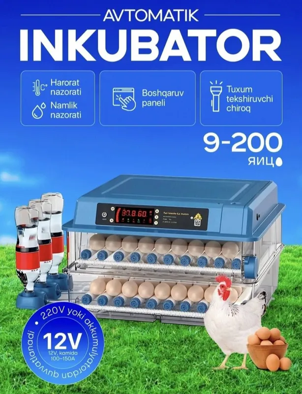 Avtomatik Inkubator 48 tali 2 Avtomatik Inkubator 48 tali 2