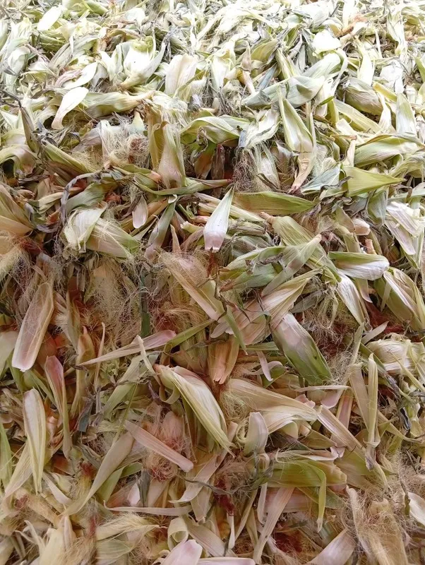 Tekin!!! Joxori pochogi tekin kinga kerak bolsa olib ketilar 4