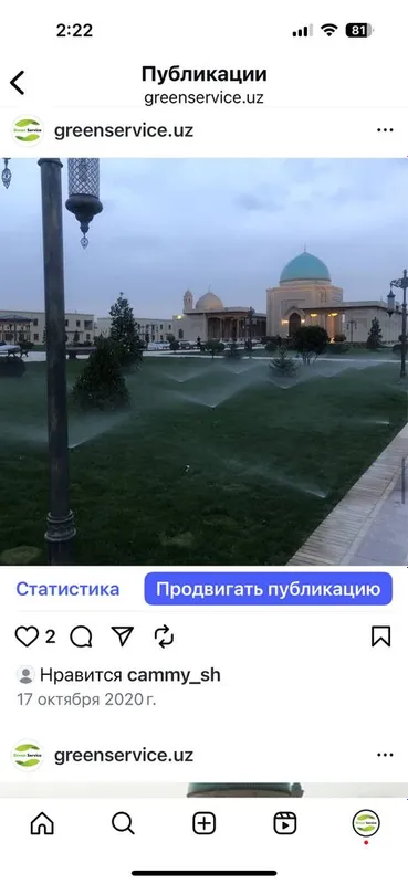 Газоны.Ландшафтный дизайн.Фонтанчики. — фото 1