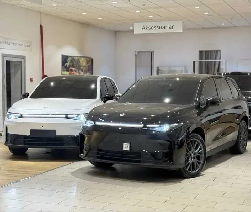 Leapmotor C10 EV Va DM-i 1 Leapmotor C10 EV Va DM-i 1