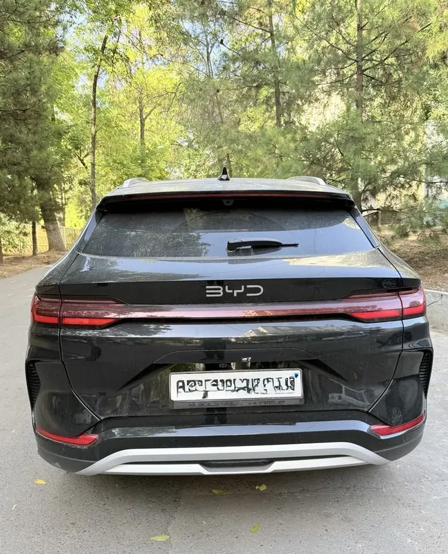 BYD Chempion Smart 4 BYD Chempion Smart 4