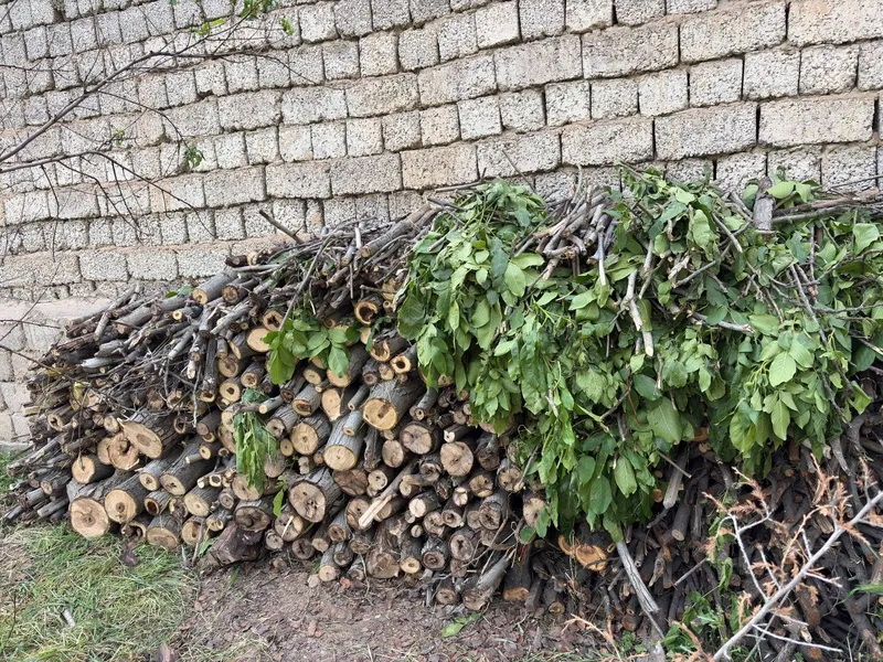 Oʻtin xar xil bor — фото 5