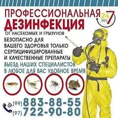 Дезинфекция таракан,клапа, пашша ,чаён Дезинфекция таракан,клапа, пашша ,чаён
