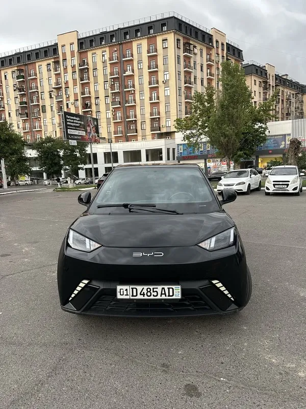 Byd Seagull 2023 yil