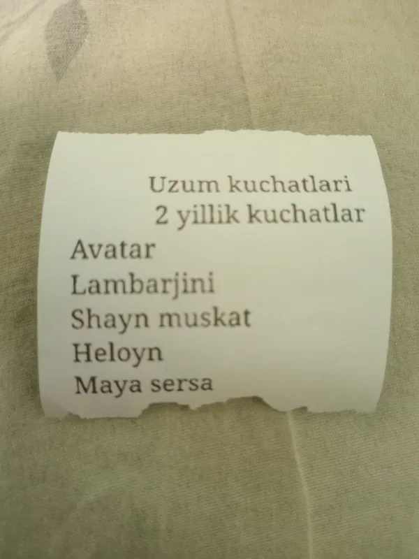 Banan kivi zaytun uzum galubik arbuts kuchatlari bor — фото 5
