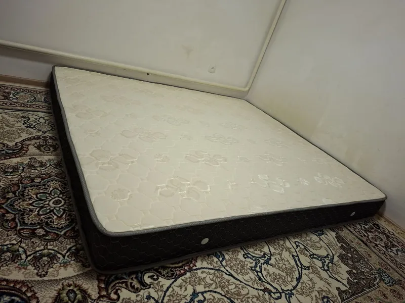 Matras. Toshak. Kravat 2