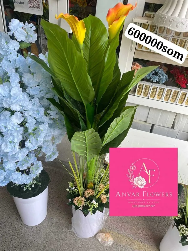 gullar darahtlar sotiladi sakura kala atrgul продается цвети и дерево — фото 2