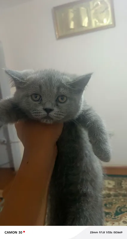 Редми Note 8 Редми Note 8