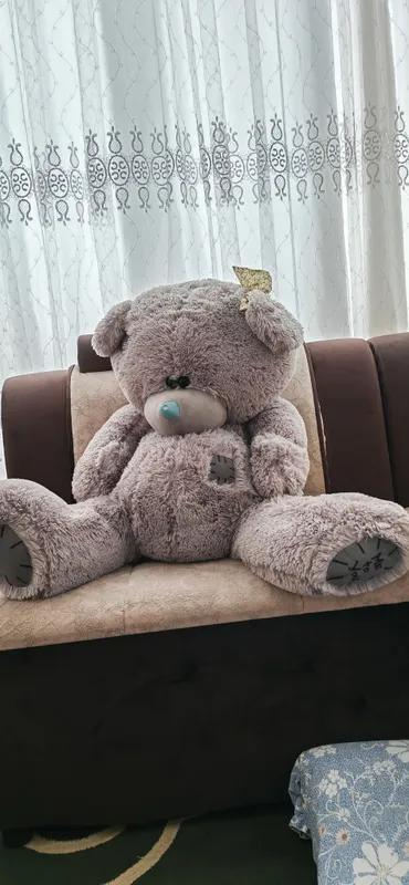 teddiy ayiq 1