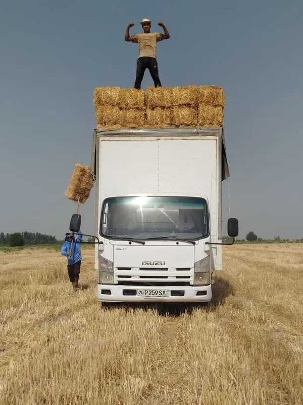 Isuzu 5t sotiladi, Исузи 5т сотилади срочно!