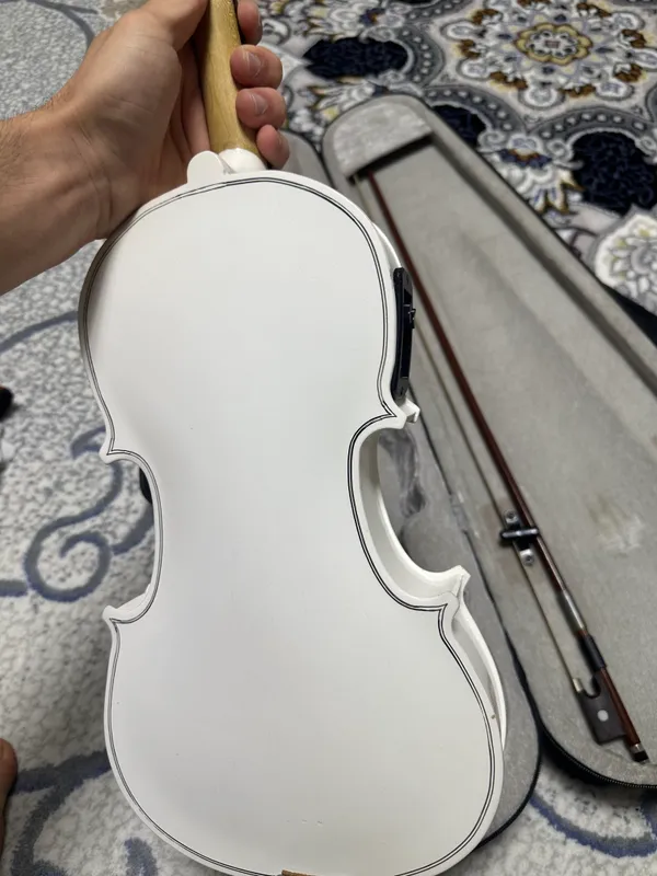 Skripka (violin) — фото 1
