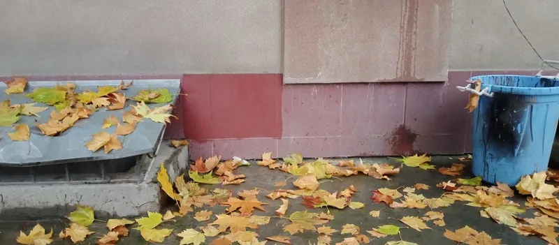 Bruschatka yuvish bruschatka tozalash sokil yuvish брусчатка чистка — фото 2
