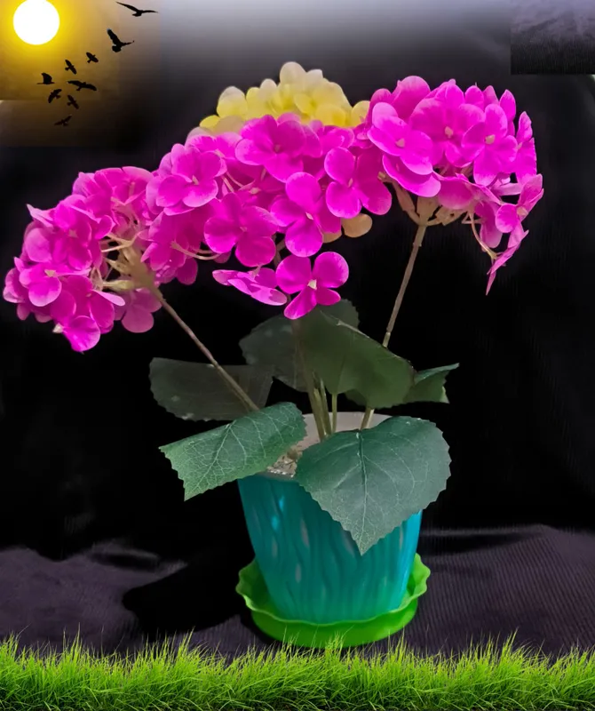 SUNIY GULLAR 1 SUNIY GULLAR 1