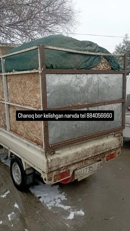 Chanoq bor kelishgan narxda