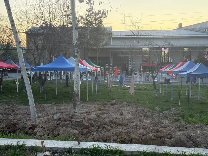 Navis ZONTIK arinda Toshkent viloyati Toshkent shahari — фото 4