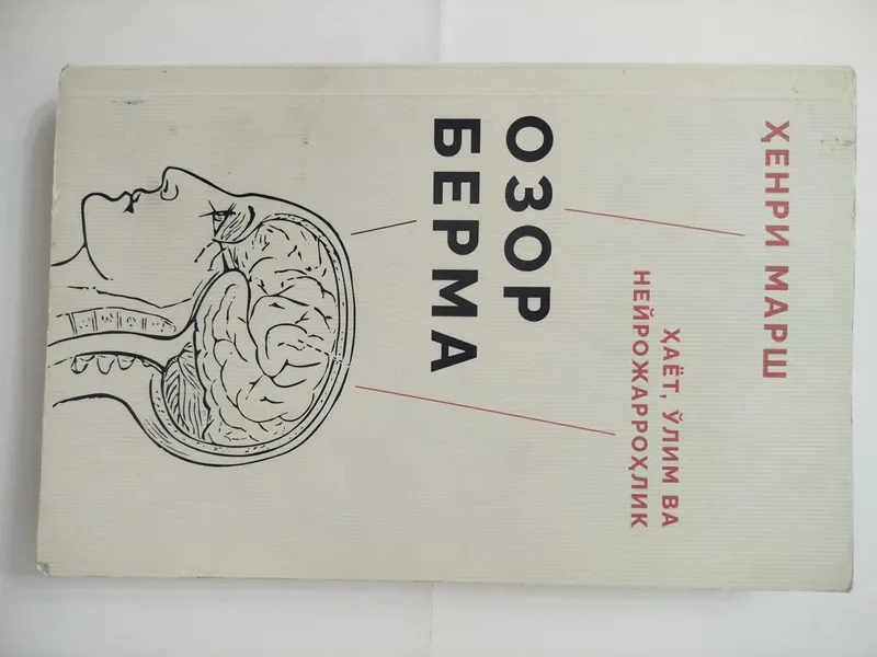 Ozor berma-Xenri Marsh