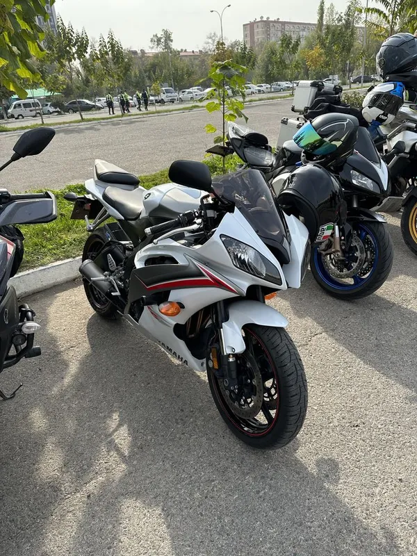 Yamaxa R6 из Америки Yamaxa R6 из Америки