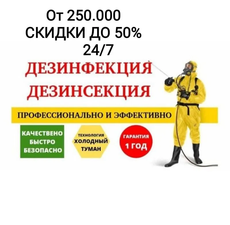 Дезинфекция от клопов тараканов крыс мышей скорпионов ос мух блох