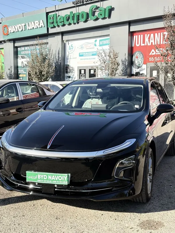 Hongqi eqm-5 500 km Под заказ 1