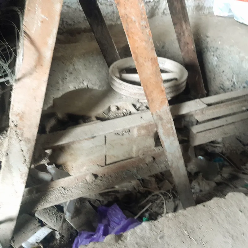 Kunjitdan yog' chiqaradigan aparat sotiladi 3 Kunjitdan yog' chiqaradigan aparat sotiladi 3